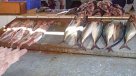 Clientes reclamaron por alza de precios en pescados y mariscos