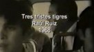 Raúl Ruiz dirigió filmes como \