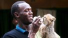 Usain Bolt adopta al animal más veloz