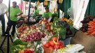 Asociación de Ferias Libres: Sequías no afectarán precios de frutas y verduras