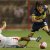 Imagen #10