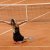 Imagen #19