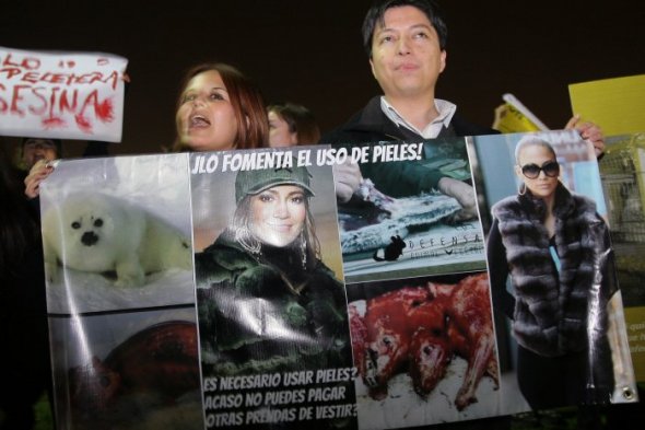Imagen #1