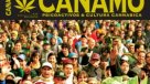 Director de Revista Cáñamo: La despenalización de la marihuana es un tema de \