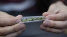 Gobierno y despenalización de drogas: Nos importa, sobre todo, la rehabilitación