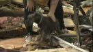 El reencuentro entre una mujer y su perro desaparecido en el tornado de Oklahoma