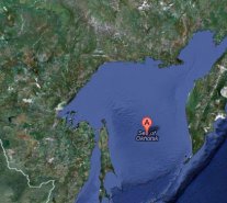 Terremoto de 8,2 Richter en Rusia se sintió a 10 mil kilómetros del epicentro