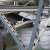 El derrumbe de un puente vehicular en EE.UU.