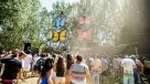 Cooperativa en Vivo: Mysteryland