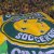 El gol que selló la clasificación de Australia al Mundial de Brasil 2014