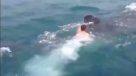 Joven nadó tomado de la aleta de un tiburón