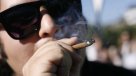 ONU: Chile es el tercer consumidor de marihuana en Sudamérica