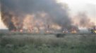 Incendio consume 1.200 hectáreas del parque Ypacaraí en Paraguay