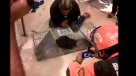 El esperado rescate del gato atrapado en mall de Viña del Mar