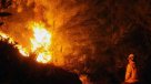 Incendio arrasa con más de mil hectáreas en parque de Douglas Tompkins