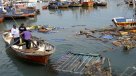Pescadores remueven los escombros que dejó el tsunami