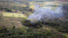 Paraguay destruye 91 hectáreas y 46 toneladas de marihuana