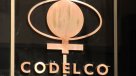 Codelco nombró a Octavio Andrade como presidente ejecutivo interino