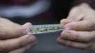 Estudio mostró fuerte aumento en consumo de marihuana entre escolares