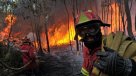 Incendio forestal afecta al norte de Portugal