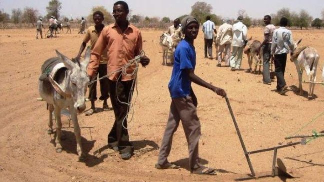  Miles de personas huyen de combates en Sudán  