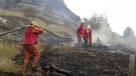 Corte ratificó reparación ambiental por incendio en Torres del Paine
