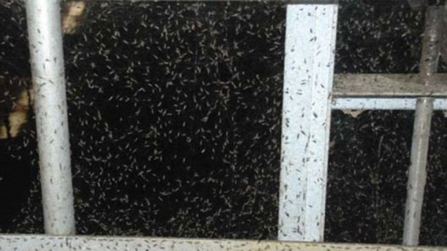 Imagen foto_00000014