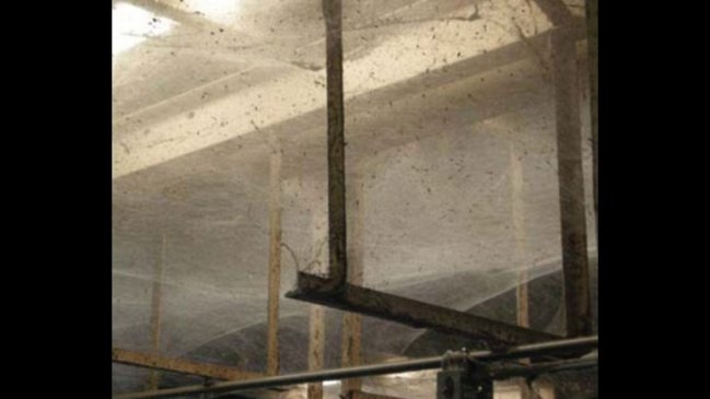 Imagen foto_00000015