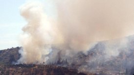 Hay viviendas que fueron evacuadas por el riesgo de propagación de las llamas y también el Liceo San Isidro por la presencia del humo.