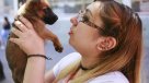 Contraloría objetó esterilización obligatoria de mascotas