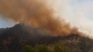 Onemi declaró Alerta Roja por incendio forestal en Lolol