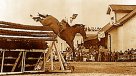 Este jueves se cumplen 66 años del histórico salto de Alberto Larraguibel en su caballo Huaso
