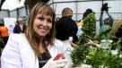 Fundación proyecta mega plantación de marihuana con fines medicinales
