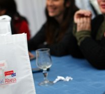 Conoce la forma de postular al Capital Abeja