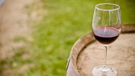 Concha y Toro tiene más de 10.700 hectáreas de viñedos en Chile, Argentina y Estados Unidos.