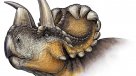 Descubren nueva especie de dinosaurio cornudo