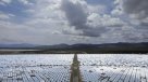 Jamaica dará electricidad a 200.000 casas con mayor planta solar del Caribe