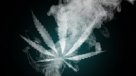 Gobierno prepara decreto para sacar a la marihuana de las drogas duras