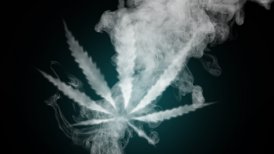 El Gobierno se abrió a trasladar la cannabis a las "drogas blandas".