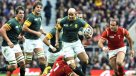 Sudáfrica es el primer semifinalista del Mundial de Rugby tras eliminar a Gales