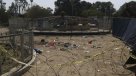 Aumentan a 72 los muertos en el atentado suicida en parque de Pakistán