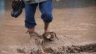 Autoridades piden nuevo plan de aguas lluvias para Tomé