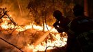 Más de 100 incendios forestales continúan activos en Portugal
