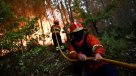 Más de 100 focos de incendios forestales en Portugal