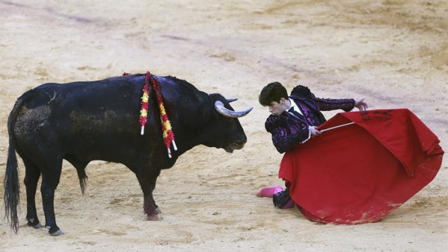  España: Animalistas exigen terminar con corridas de toros  