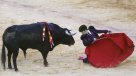 Partido Animalista reunió a miles de personas para exigir fin de las corridas de toros