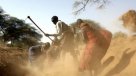 FAO: Cambio climático siembra dudas sobre la disponibilidad de alimentos