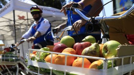 Cruz Roja repartirá frutas a los votantes en todos los locales