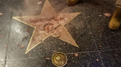 Destruyen la estrella de Donald Trump en el Paseo de la Fama de Hollywood