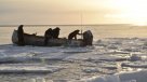 El misterioso sonido marino que puso en alerta al Ejército de Canadá